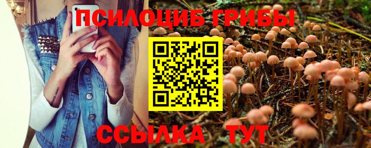Галлюциногенные грибы Psilocybe  Вход с VPN  даркнет сайт  Нарткала 