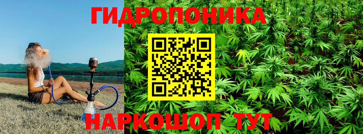 Бошки марихуана THC 21%  Шишки марихуана сатива  Нарткала  Вход с VPN 